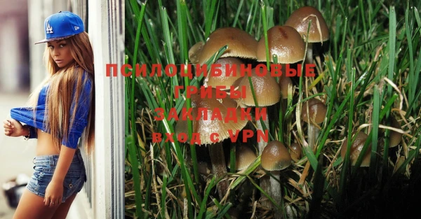 каннабис Лабытнанги