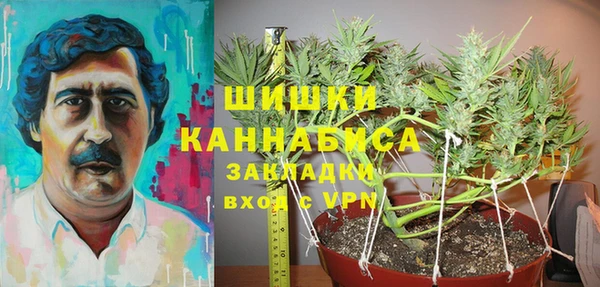 ешки Ладушкин