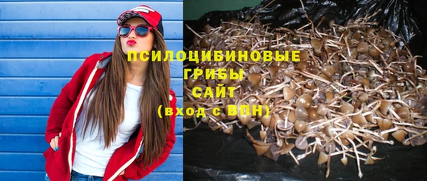 каннабис Лабытнанги