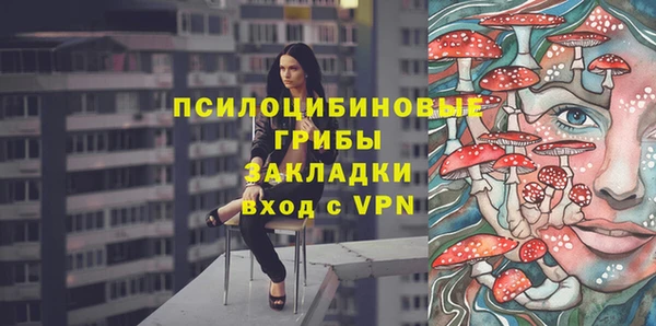 ешки Ладушкин