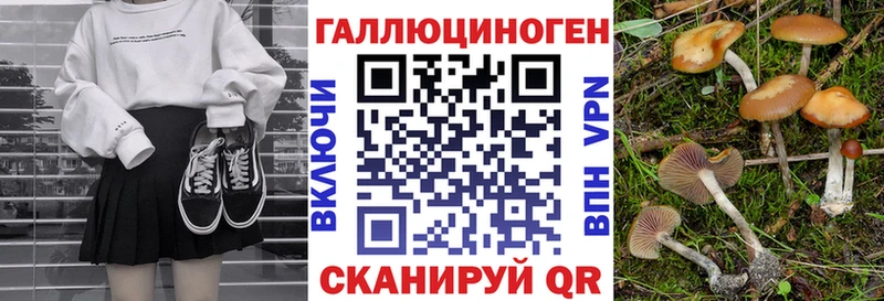 Галлюциногенные грибы Magic Shrooms где найти Ува